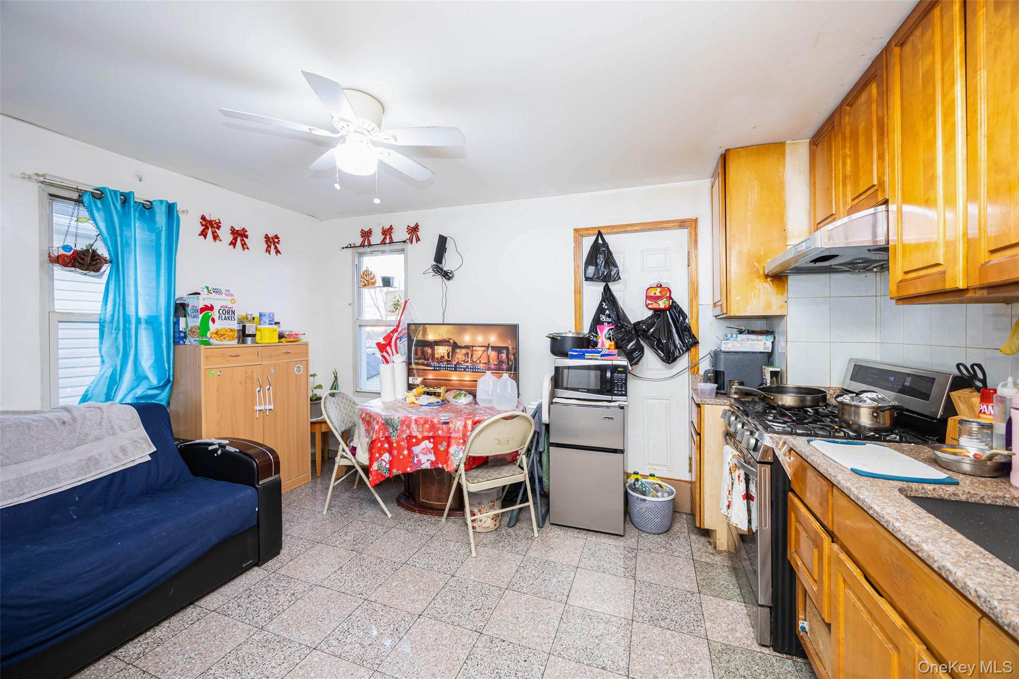#14 photo, 43-58 163rd Street, 法拉盛 Flushing , NY 11358