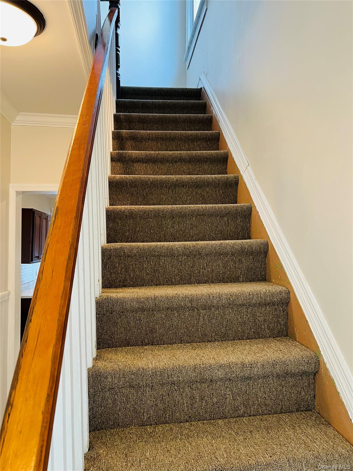 #10 photo, 2313 Ellis Avenue, Bronx , NY 10462