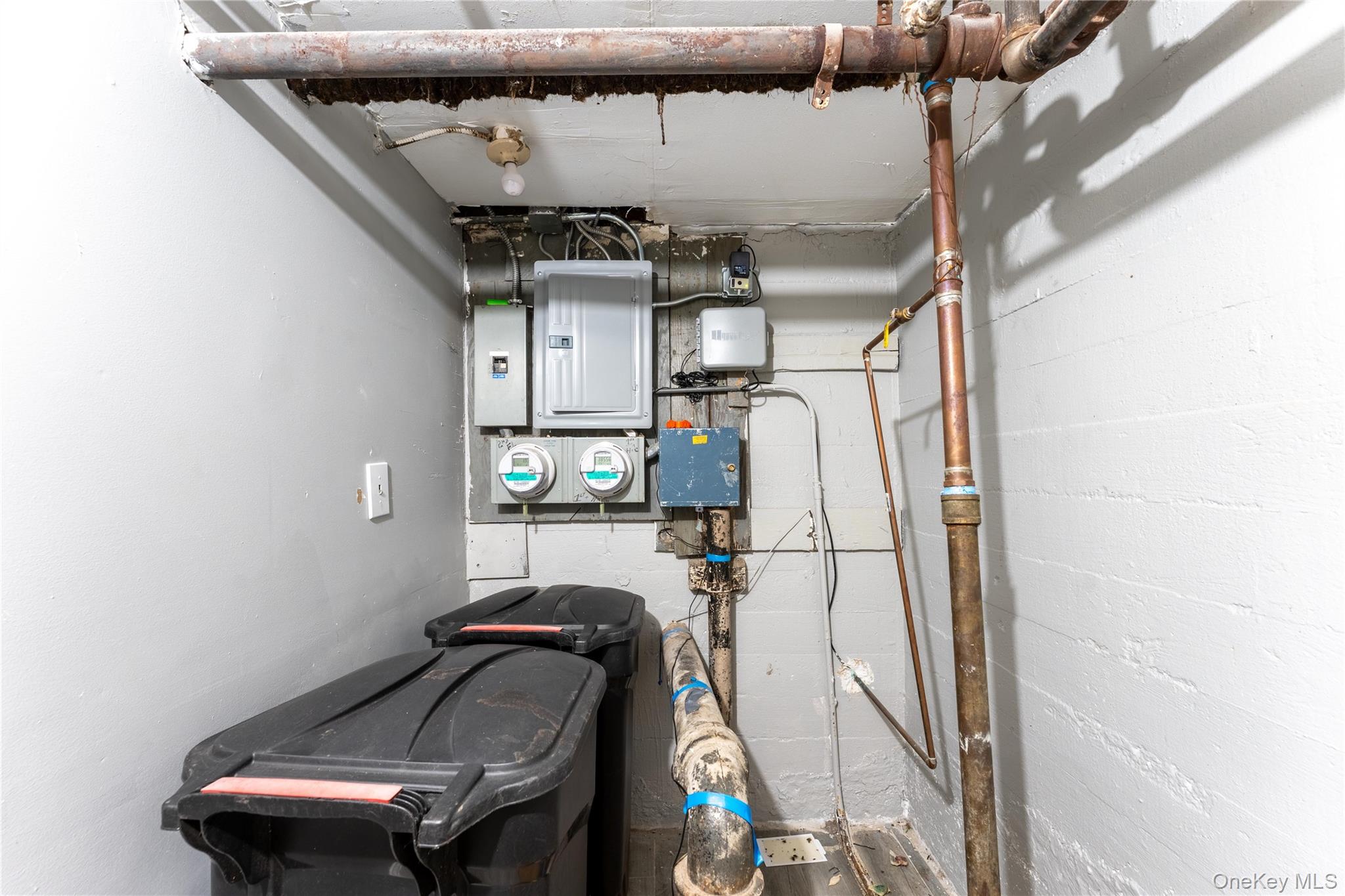 #18 photo, 1065 Carroll Street, Brooklyn , NY 11225