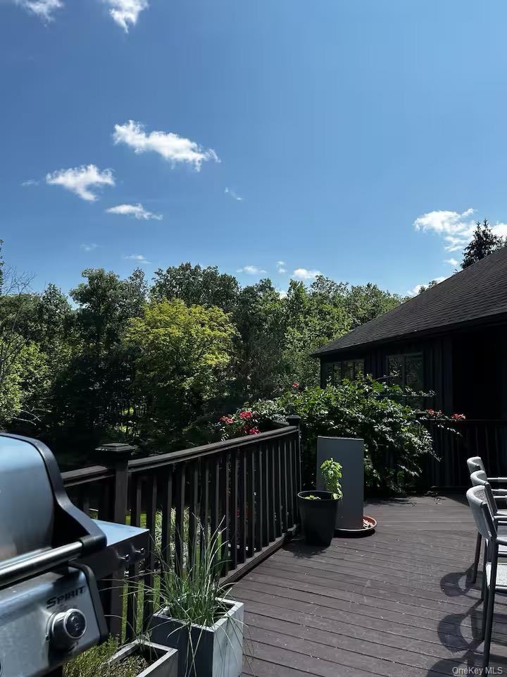 #9 photo, 222 Hurley Road, Salt Point , NY 12578