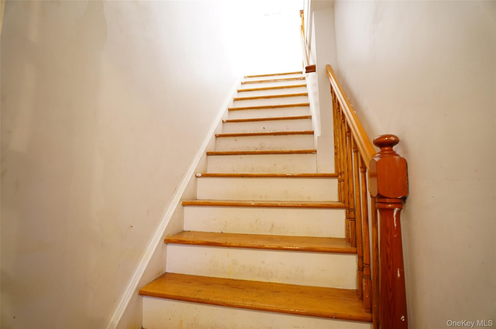 #2 photo, 6412 48th Avenue, كوينز Woodside , NY 11377