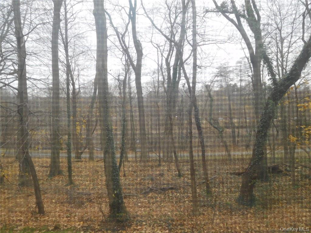 #15 photo, 4 Consulate Drive, Tuckahoe , NY 10707