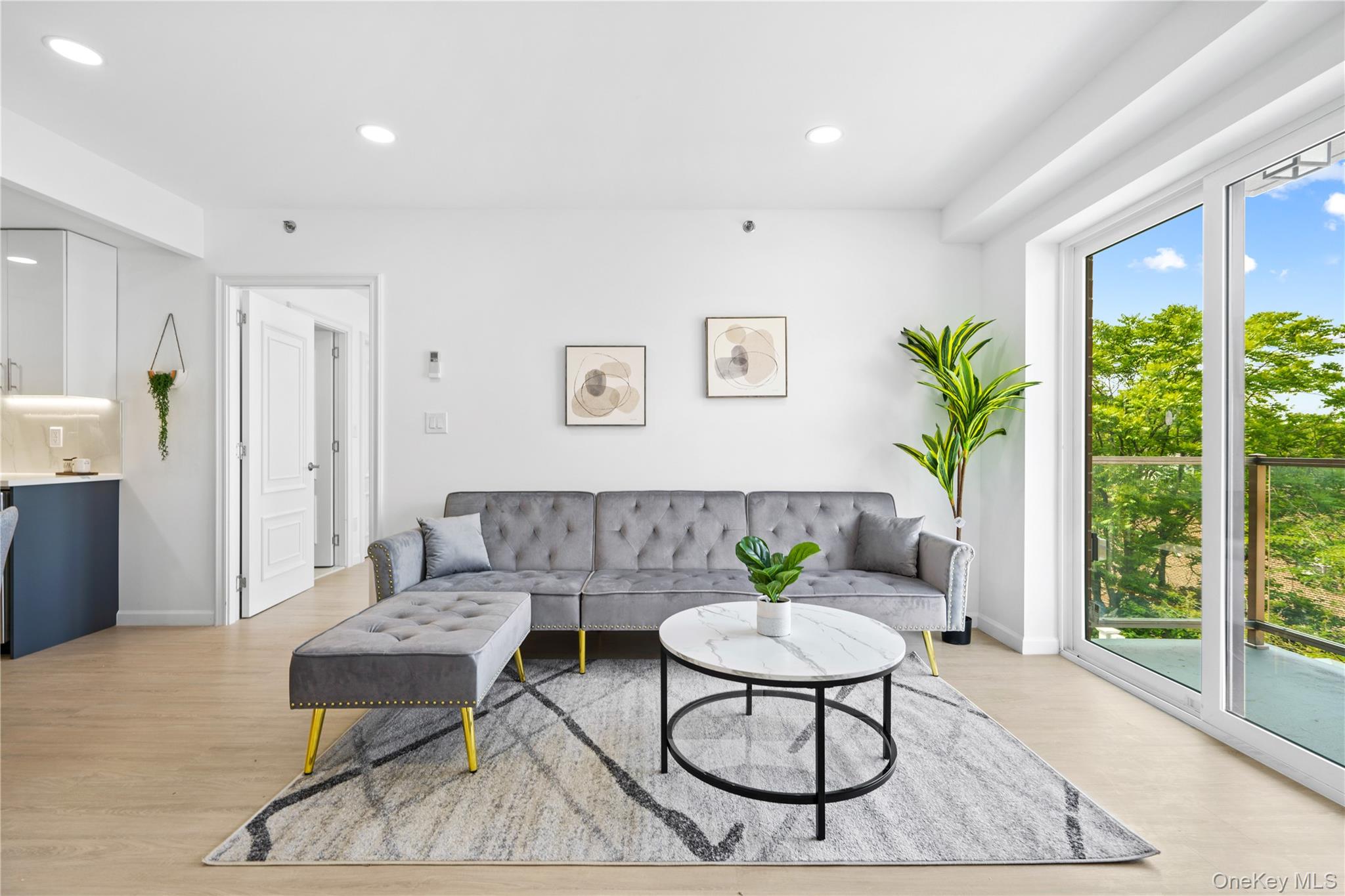 #2 photo, 13450 Blossom Avenue, 法拉盛 Flushing , NY 11355