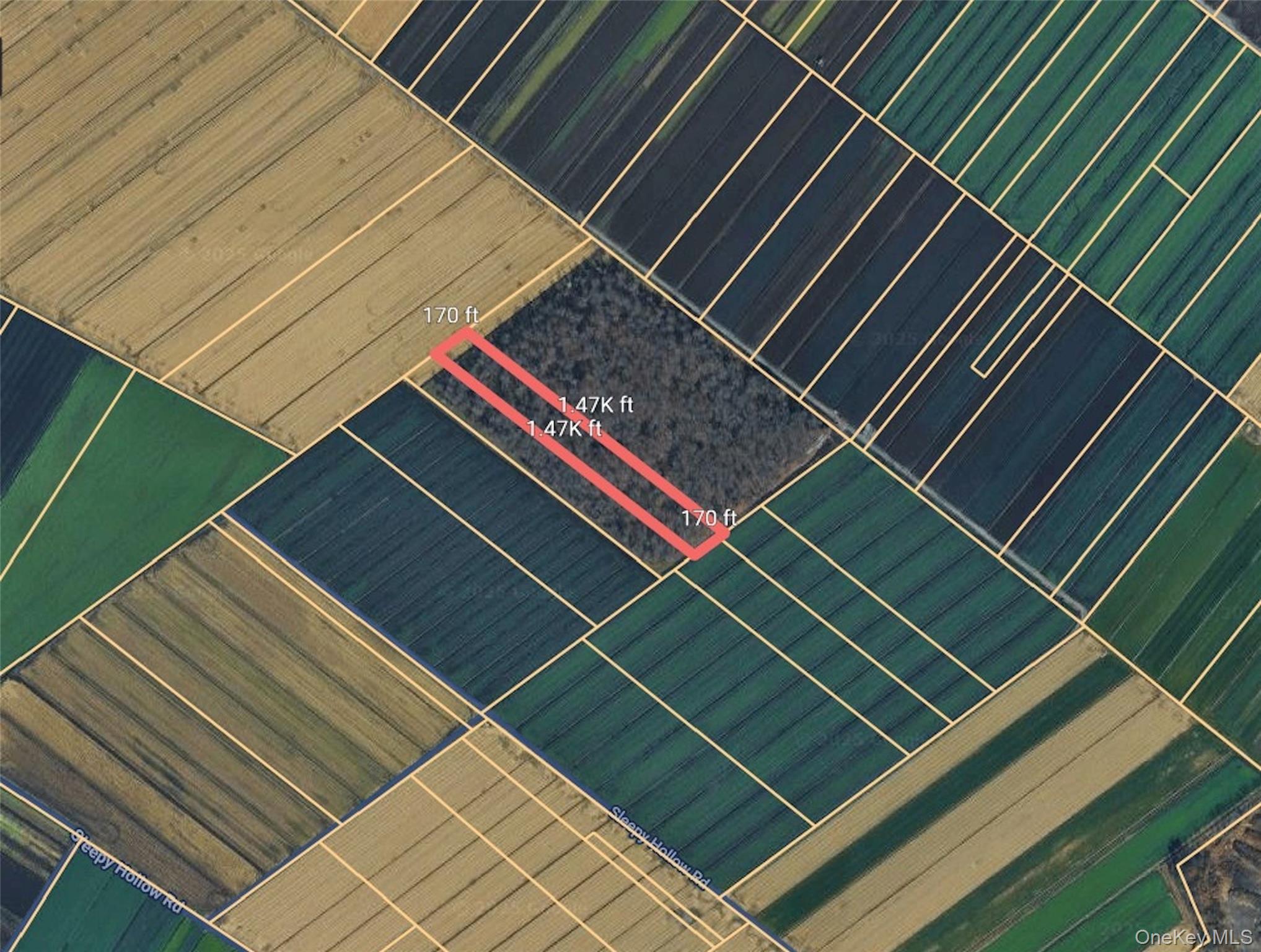 #1 photo, Gale Street, Florida , NY 10924