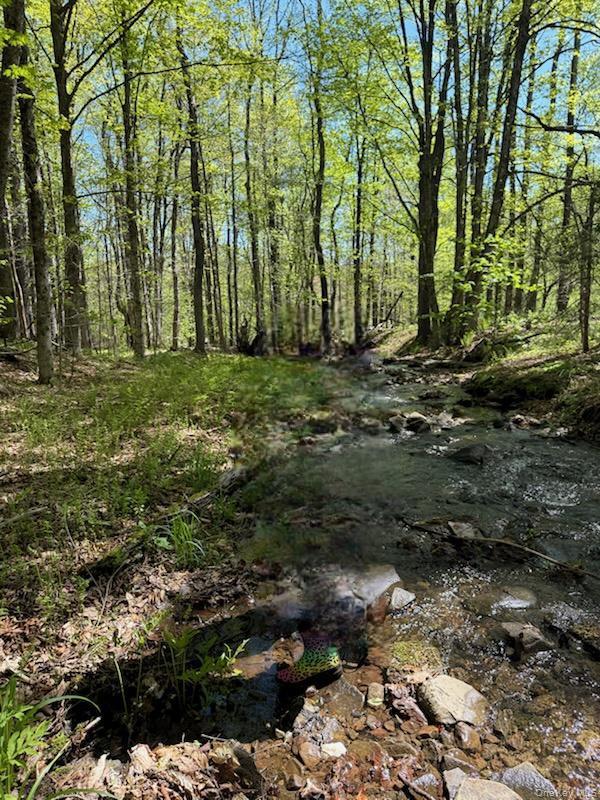 #1 photo, Cr 92, Roscoe , NY 12736