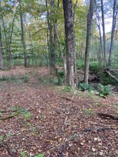 #2 photo, Cr 92, Roscoe , NY 12736