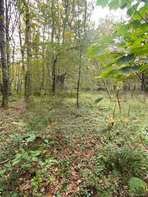 #3 photo, Cr 92, Roscoe , NY 12736