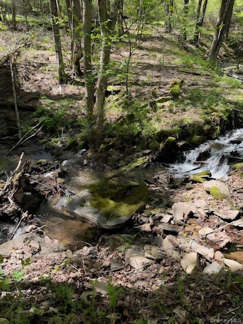 #5 photo, Cr 92, Roscoe , NY 12736