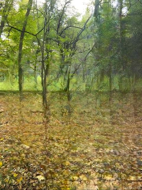 #6 photo, Cr 92, Roscoe , NY 12736