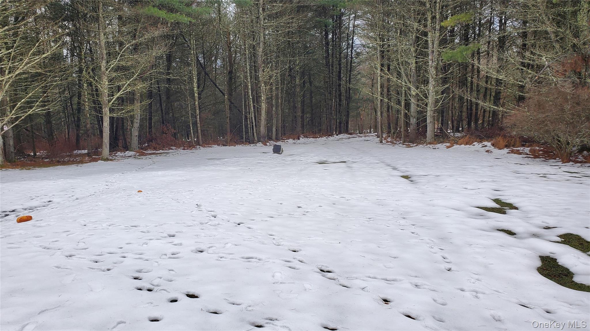 #11 photo, 807 Beaverbrook Road, Narrowsburg , NY 12764