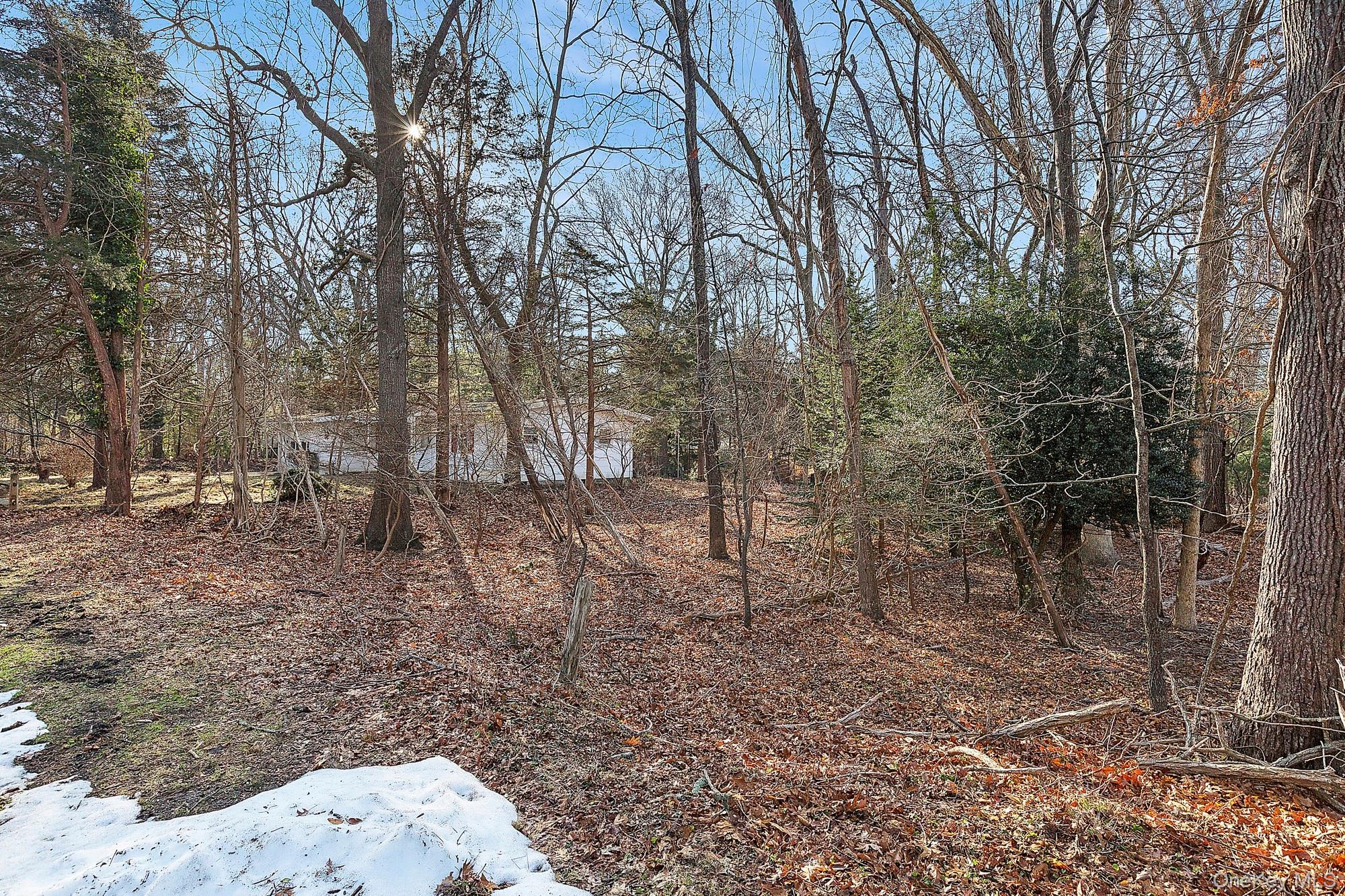 #9 photo, 37 Cedar Drive, 東長島 Springs , NY 11937