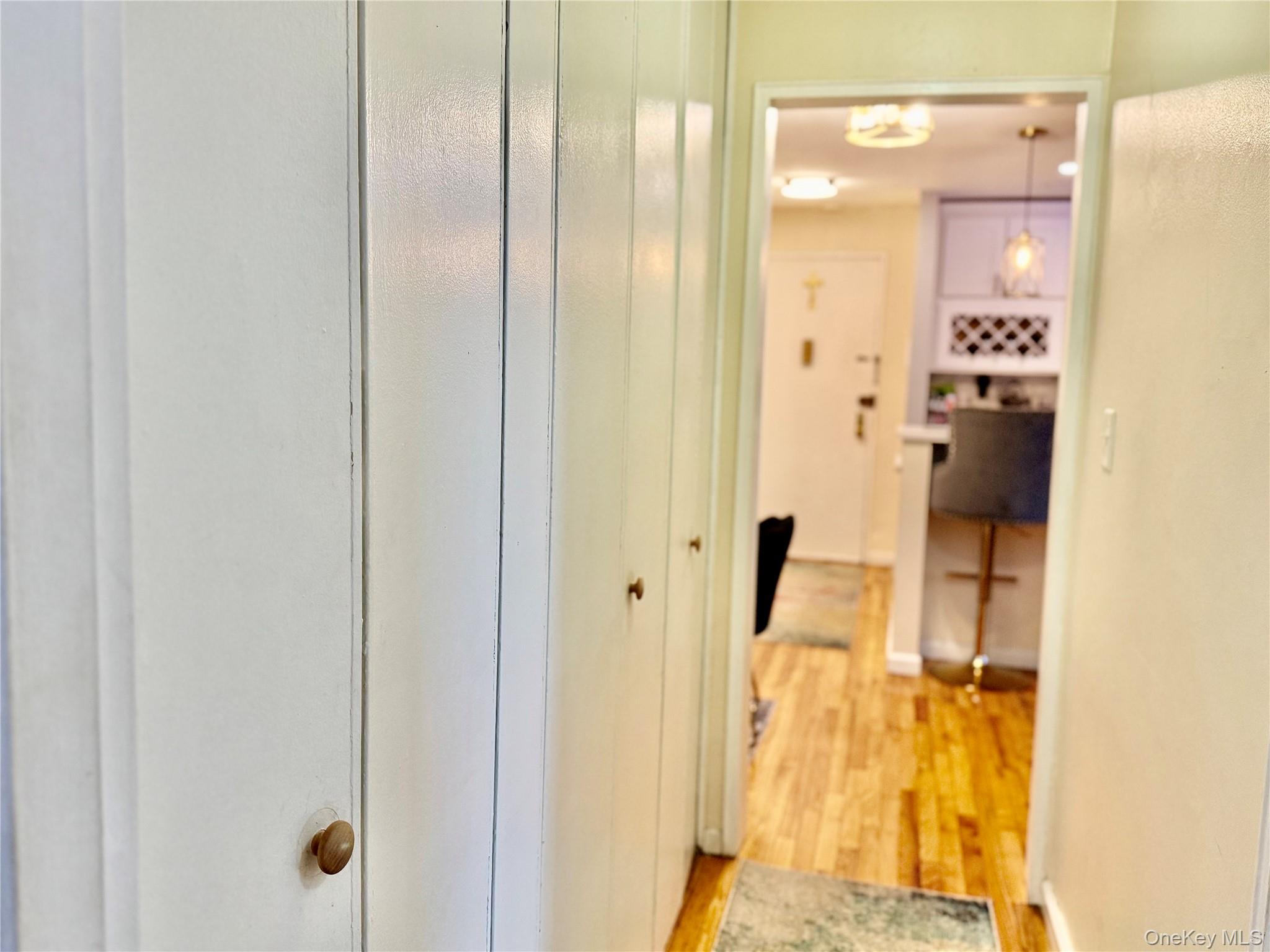 #13 photo, 100 Lincoln Avenue, Mineola , NY 11501