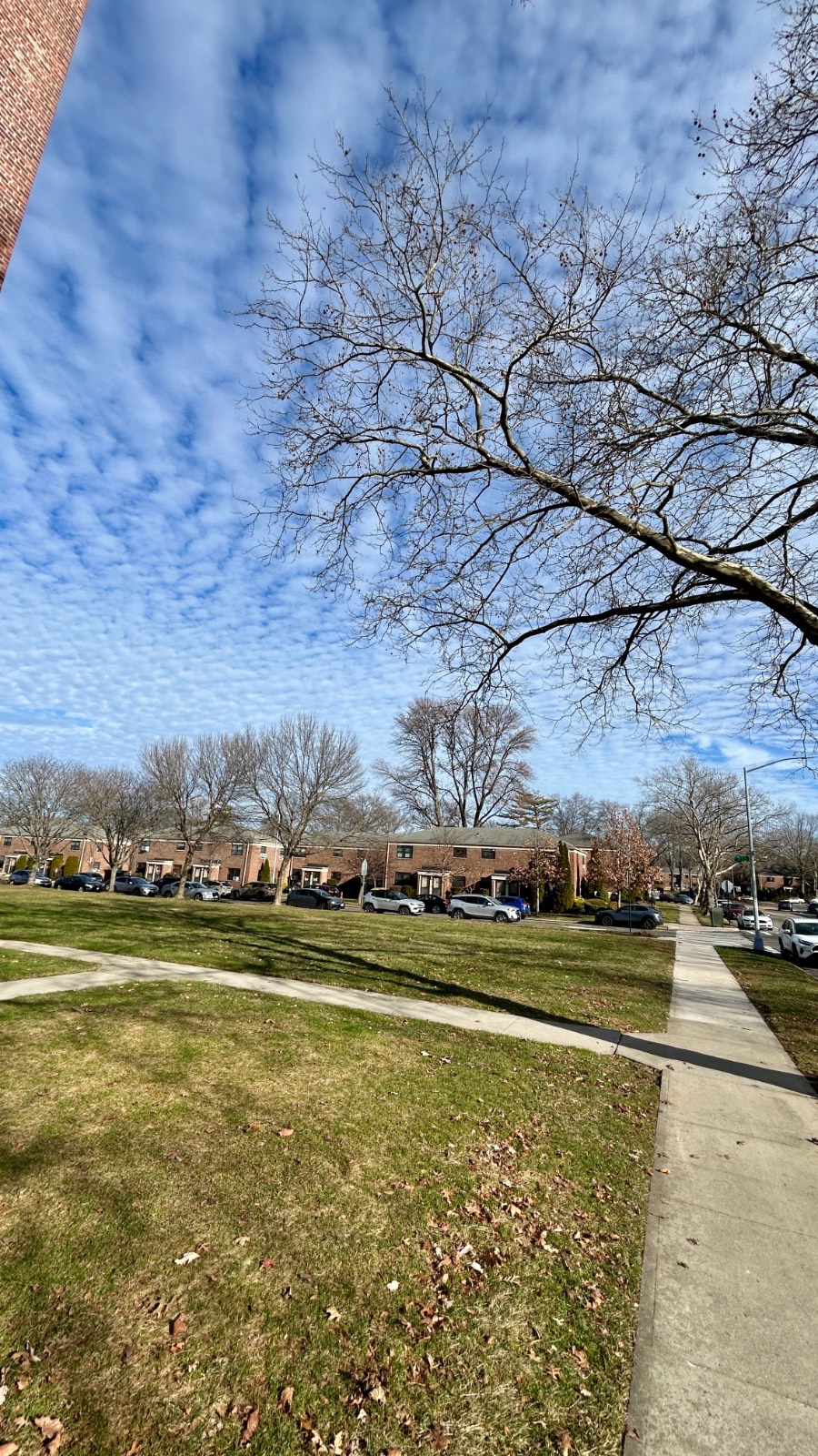 #3 photo, 7363 Bell Blvd, #L2, Куинс ‖ Oakland Gardens , NY 11364