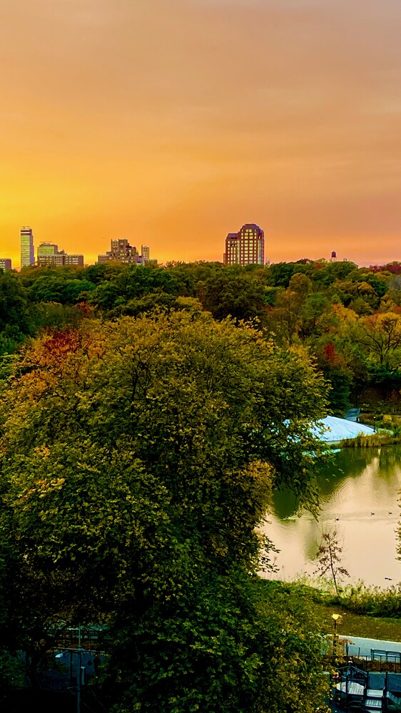 #16 photo, 1270 5TH Avenue, Манхэттен ‖ East Harlem , NY 10029