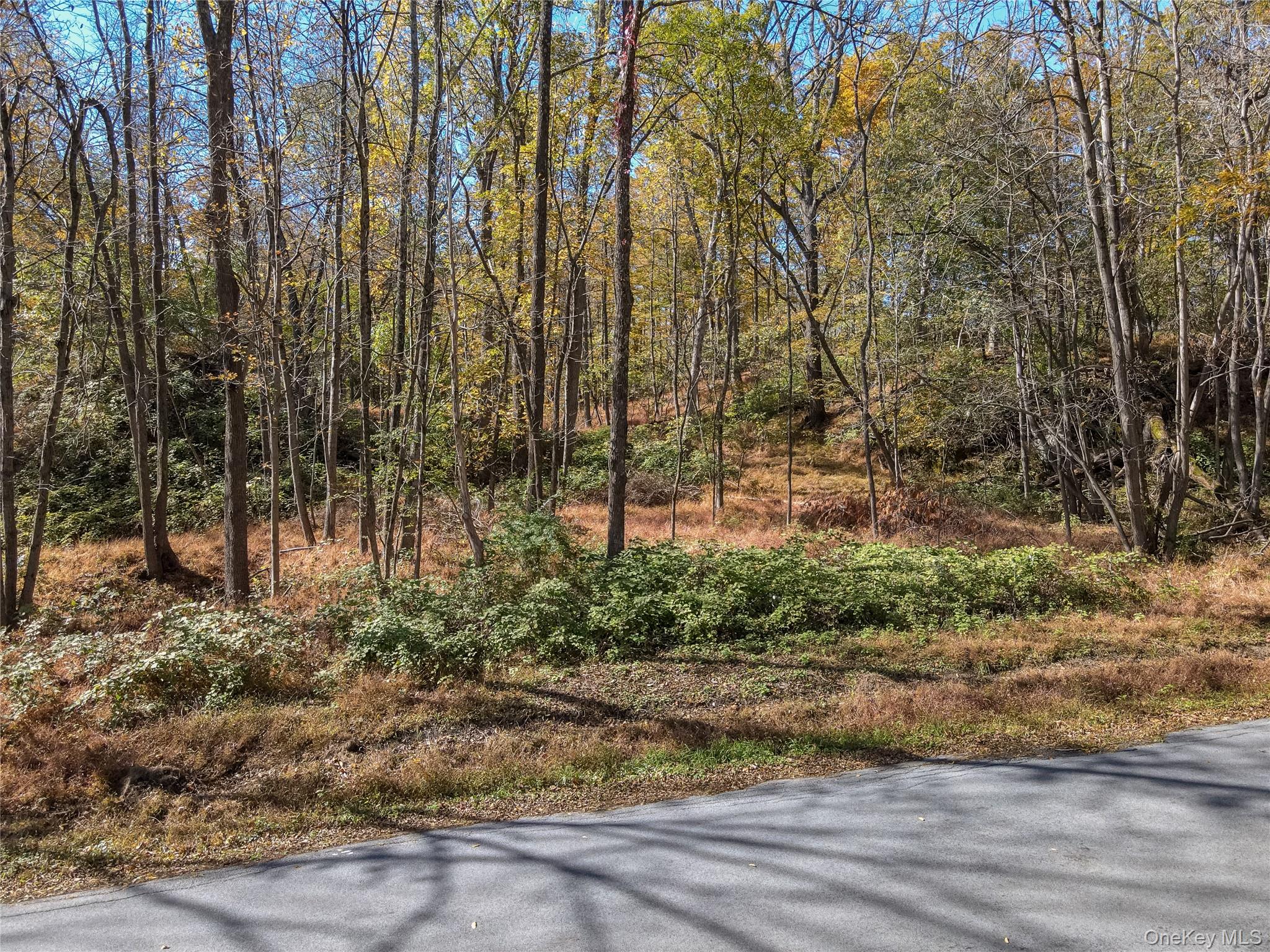 #10 photo, Newport Bridge Rd, Warwick , NY 10990