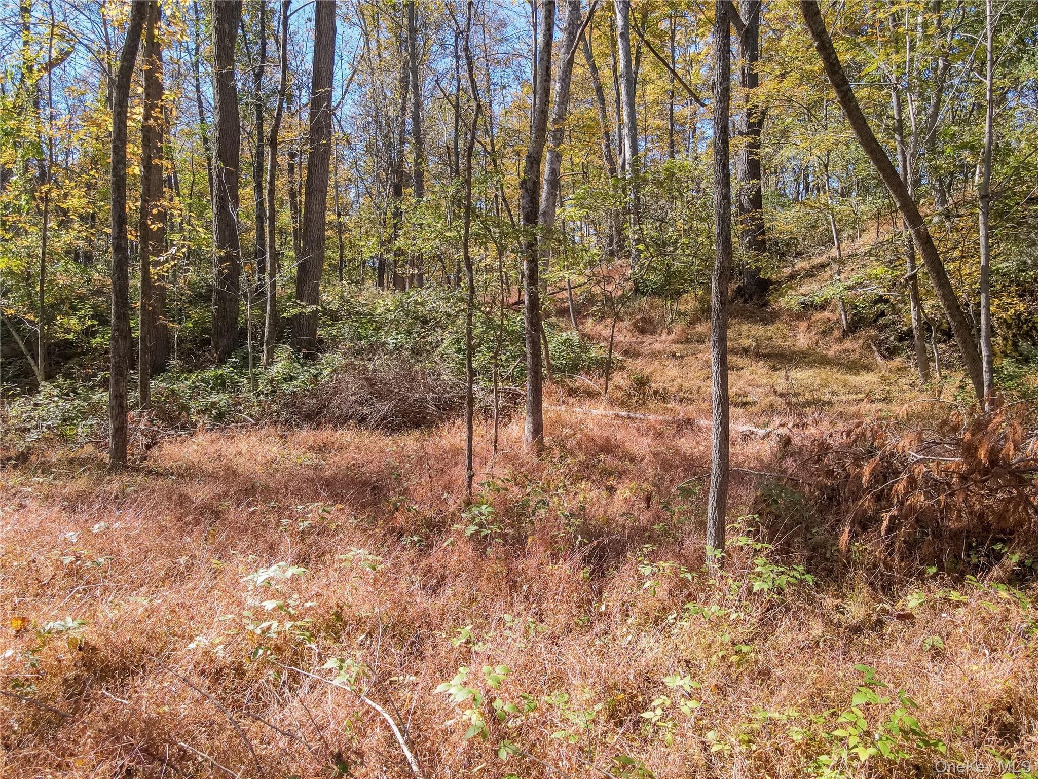 #11 photo, Newport Bridge Rd, Warwick , NY 10990