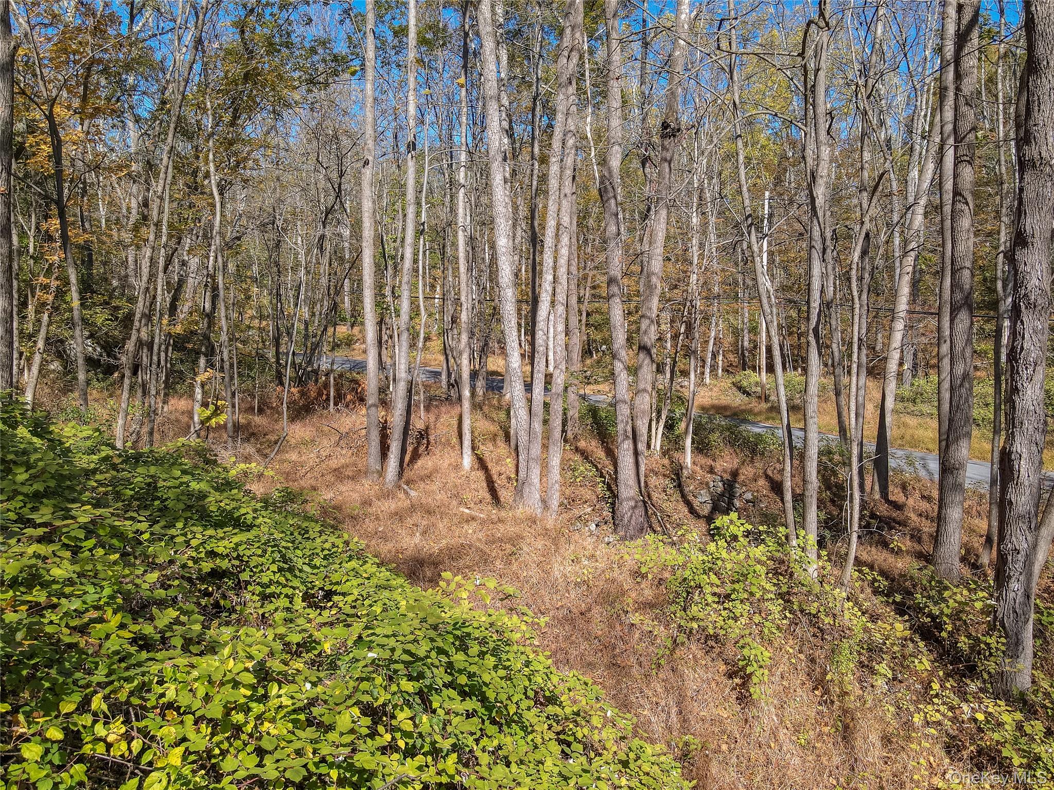 #14 photo, Newport Bridge Rd, Warwick , NY 10990