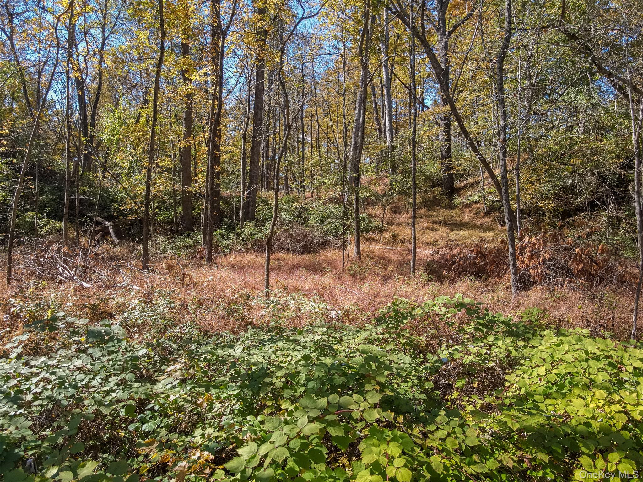 #17 photo, Newport Bridge Rd, Warwick , NY 10990