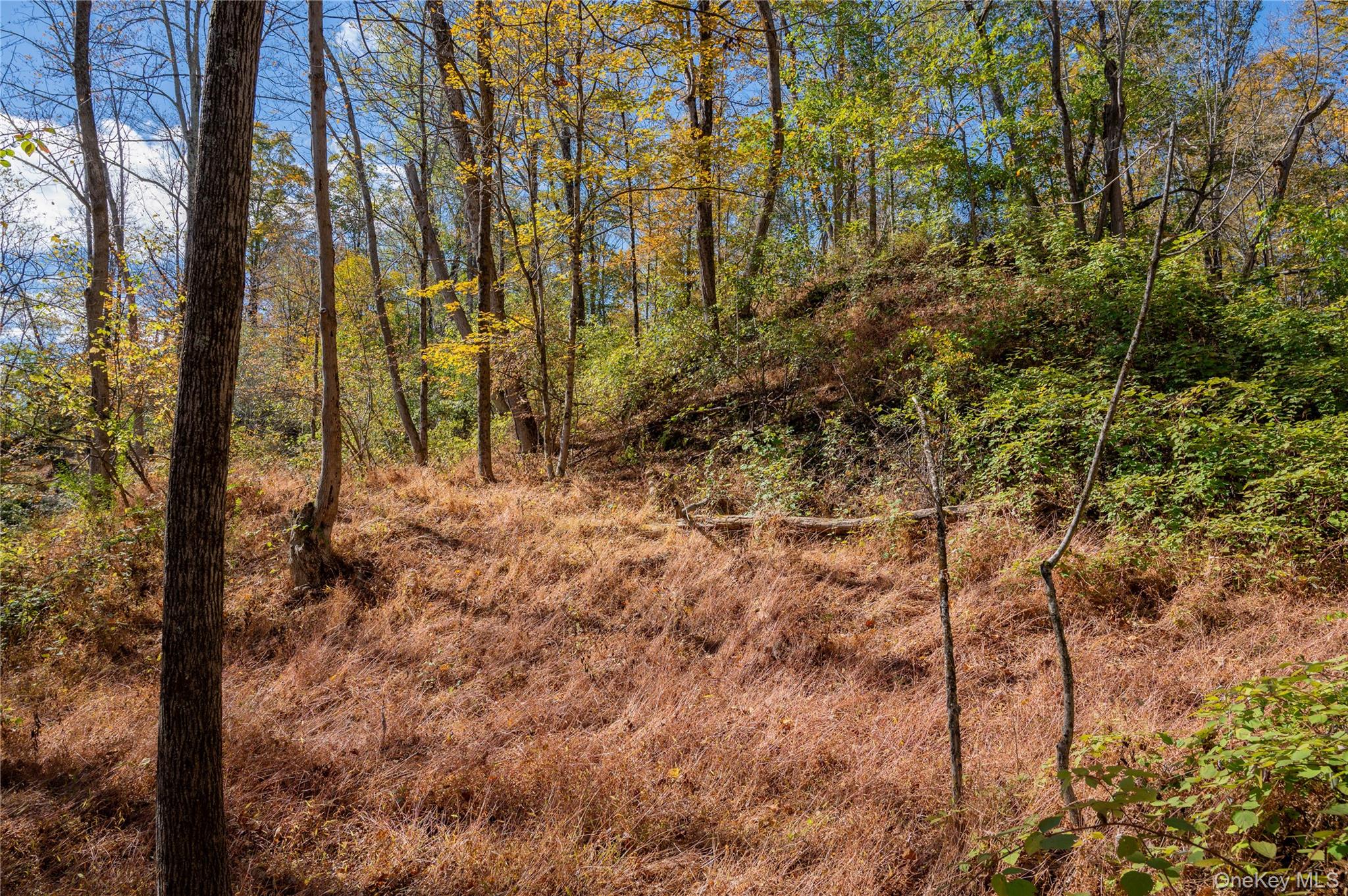 #19 photo, Newport Bridge Rd, Warwick , NY 10990