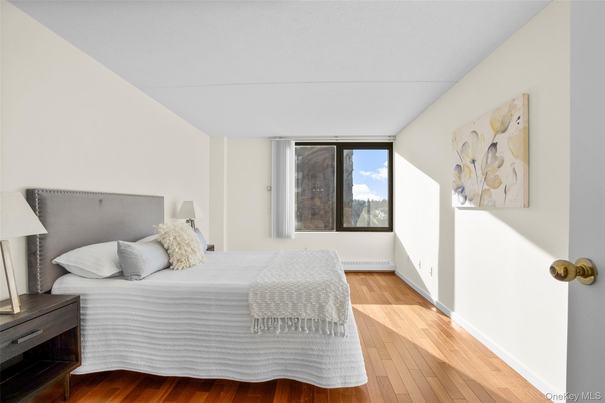 #10 photo, 4 Martine Avenue, 纽约州 White Plains , NY 10606