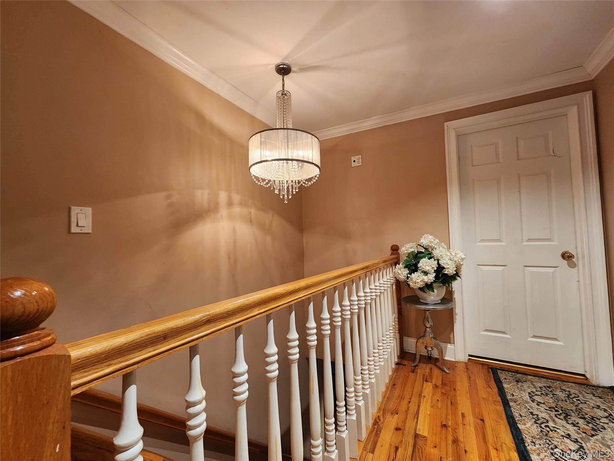 #11 photo, 883 McKenna Avenue, 长岛 Baldwin , NY 11510