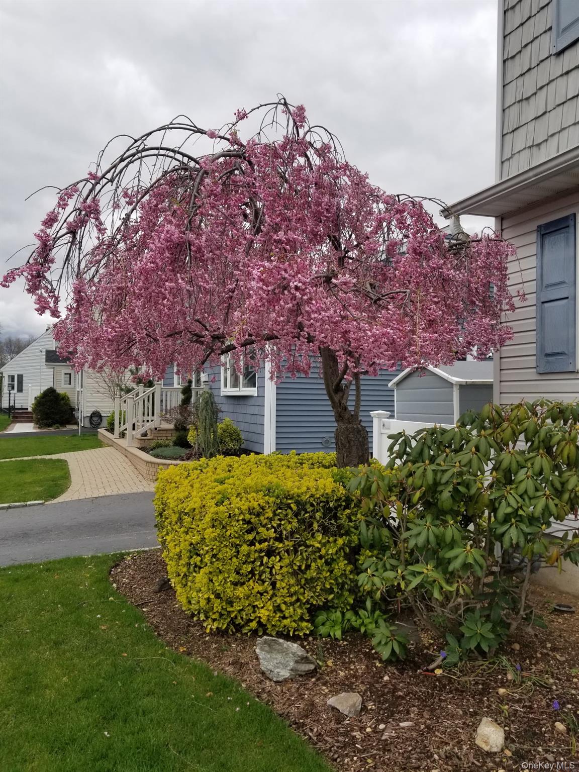 #5 photo, 493 Kell Place, 長島 Seaford , NY 11783