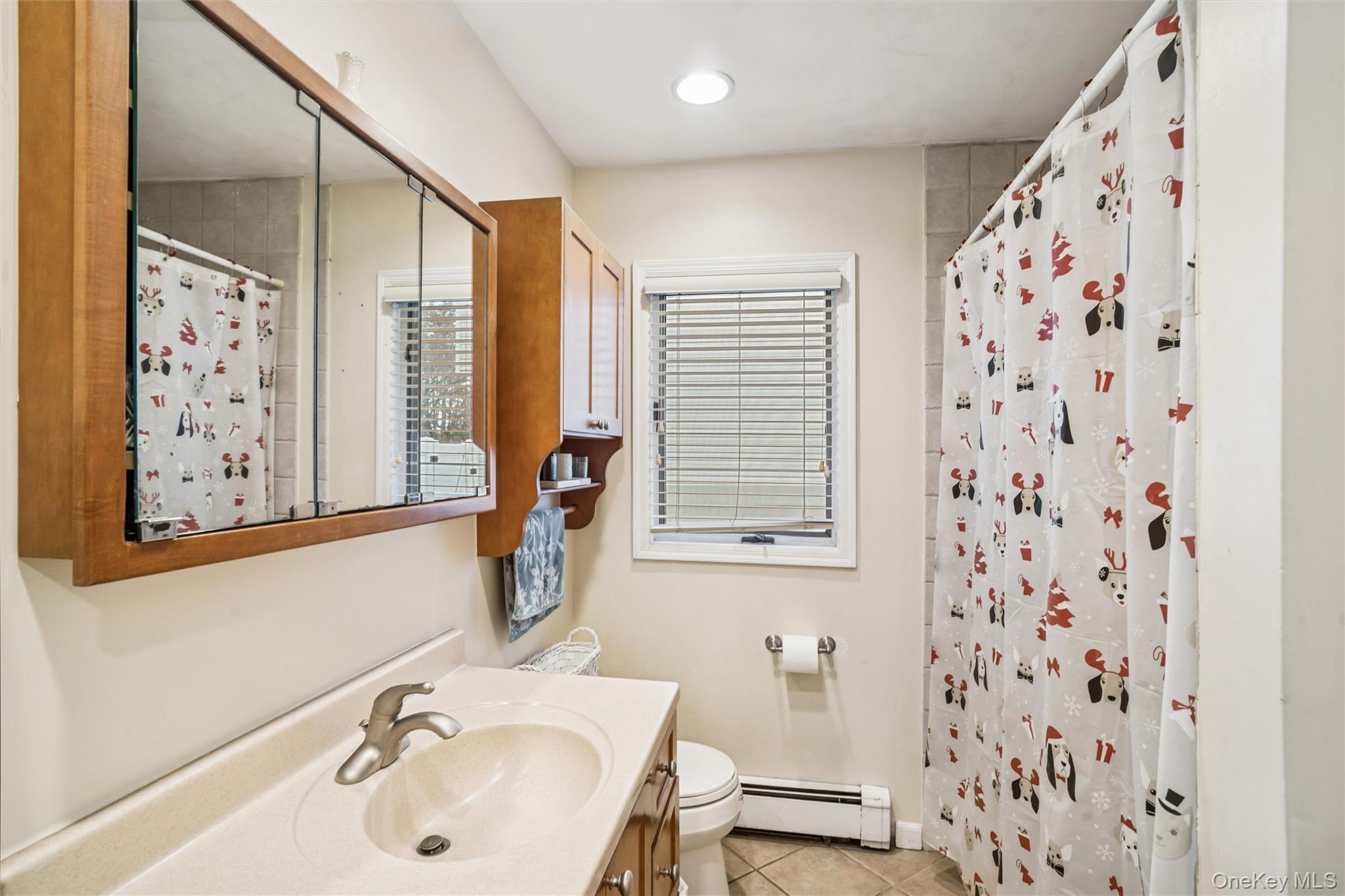 #8 photo, 29 Lexington Avenue, West Babylon , NY 11704