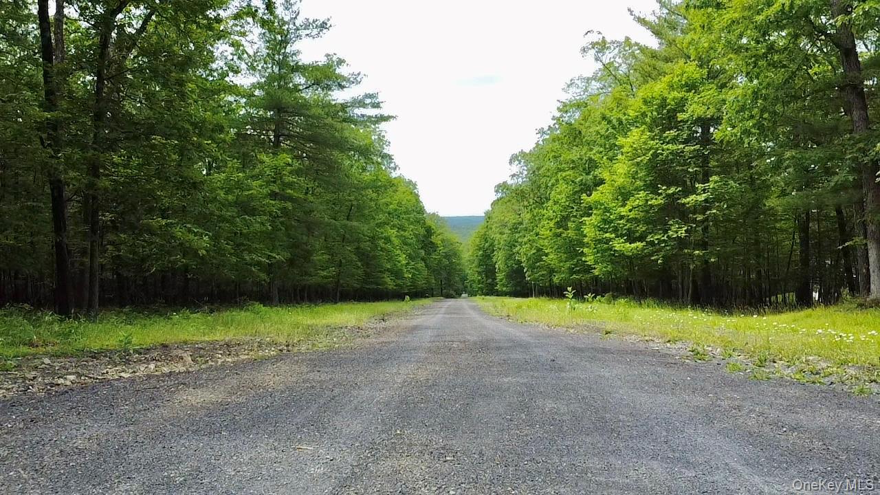 #8 photo, 11 Rock Hill Road, Coxsackie , NY 12051