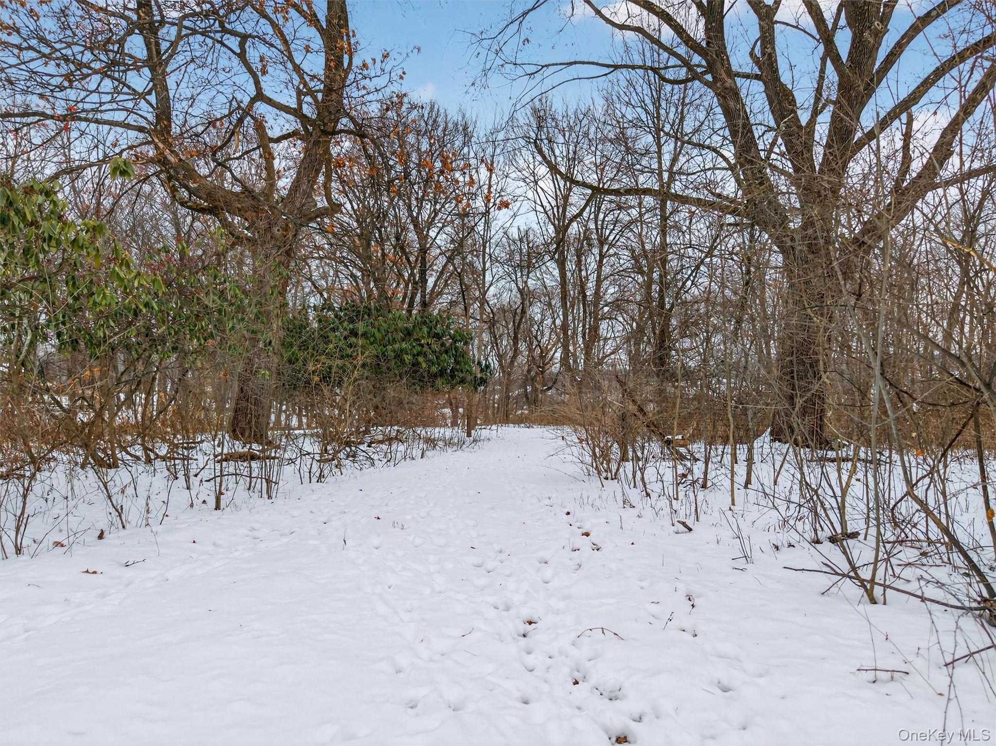 #9 photo, 1657 Route 17M, Goshen , NY 10924