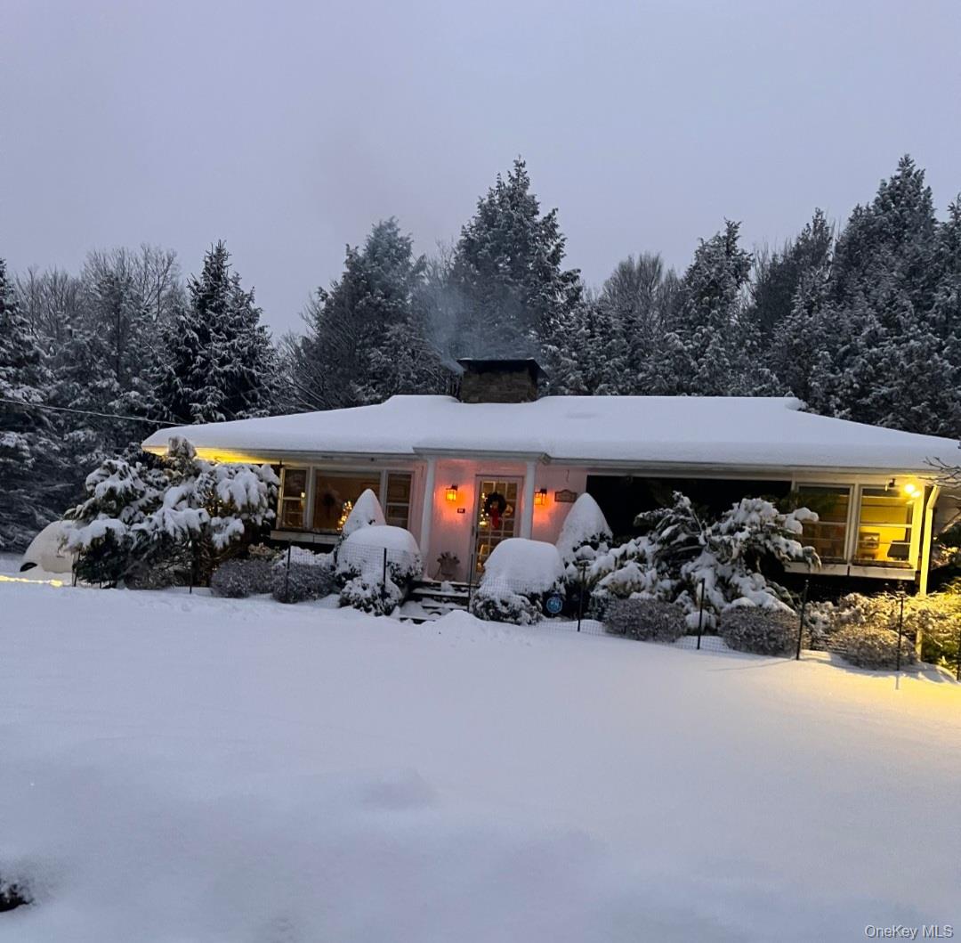 #3 photo, 172 Wards Road, Livingston Manor , NY 12758