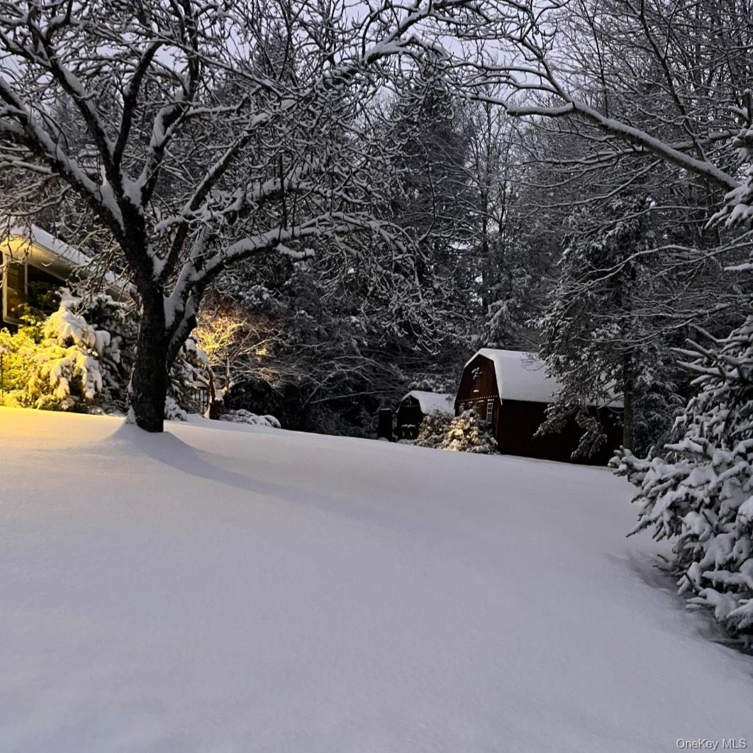 #4 photo, 172 Wards Road, Livingston Manor , NY 12758