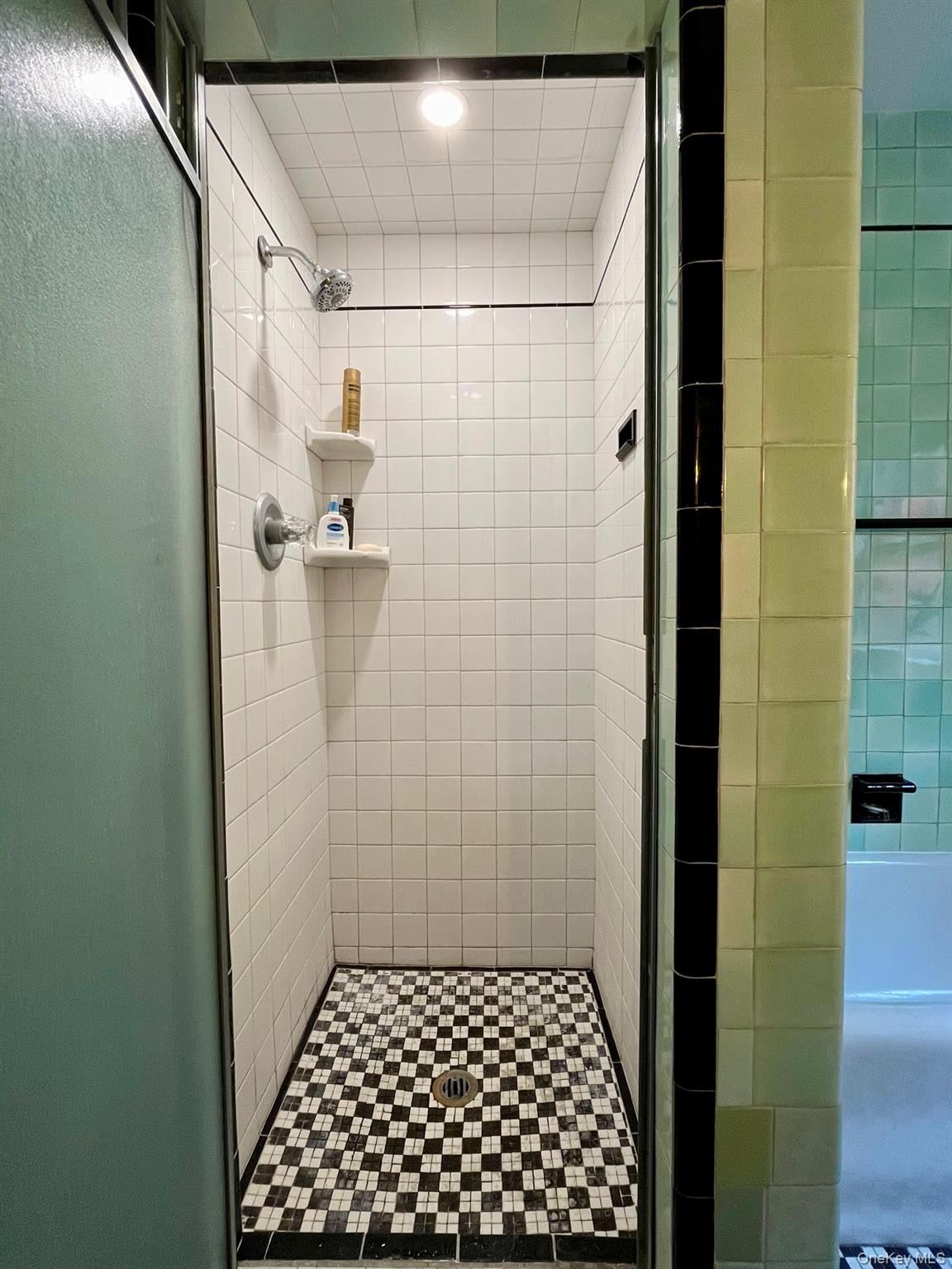 #12 photo, 131 Spring Street, 纽约州 Ossining , NY 10562