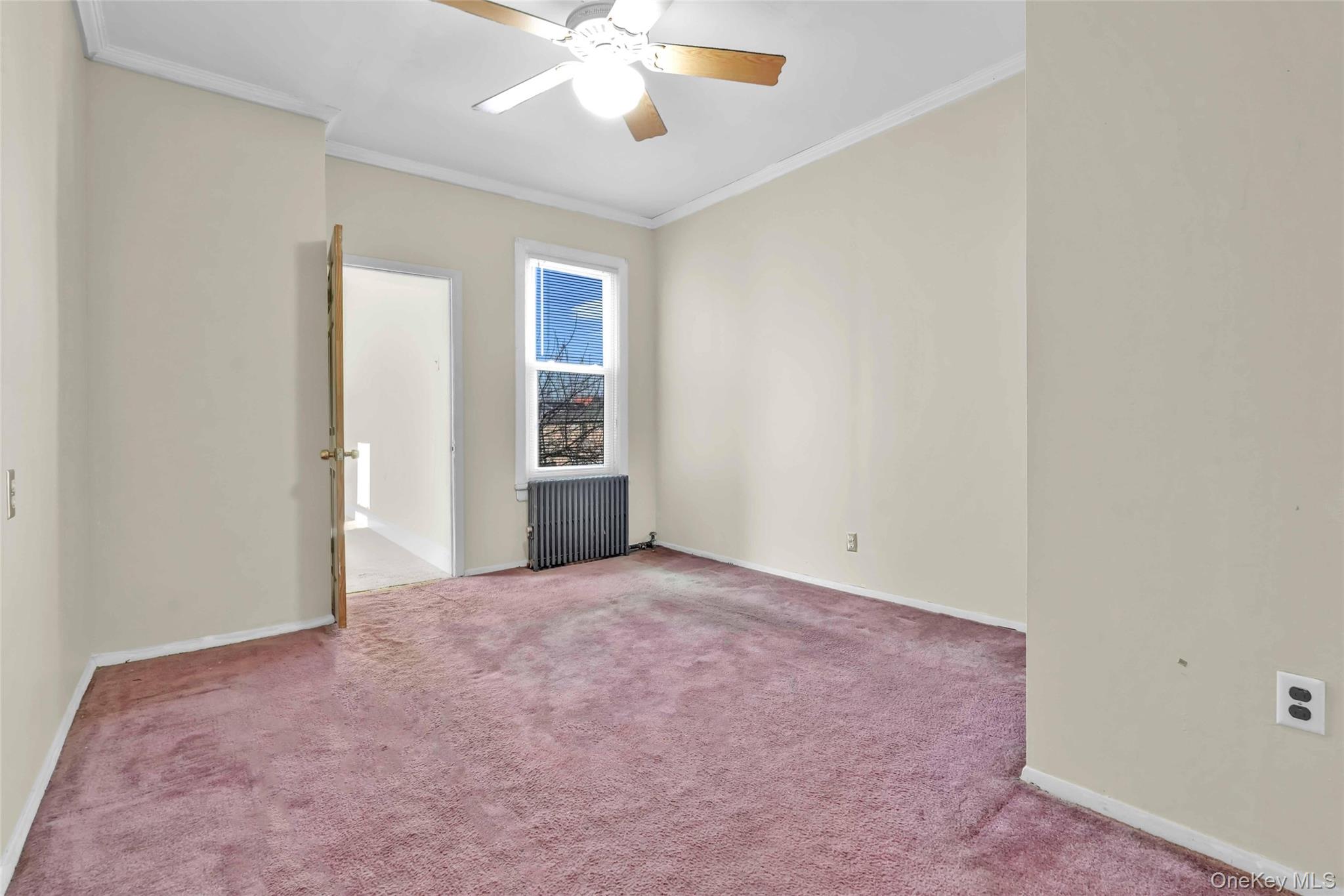 #12 photo, 194 Crystal Street, Brooklyn , NY 11208