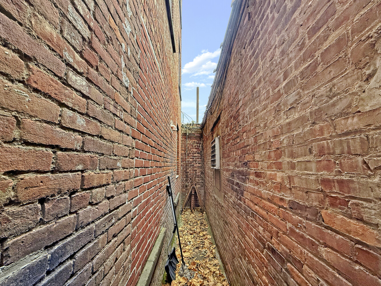 #15 photo, 67 UNDERHILL Avenue, 브루클린 Prospect Heights , NY 11238