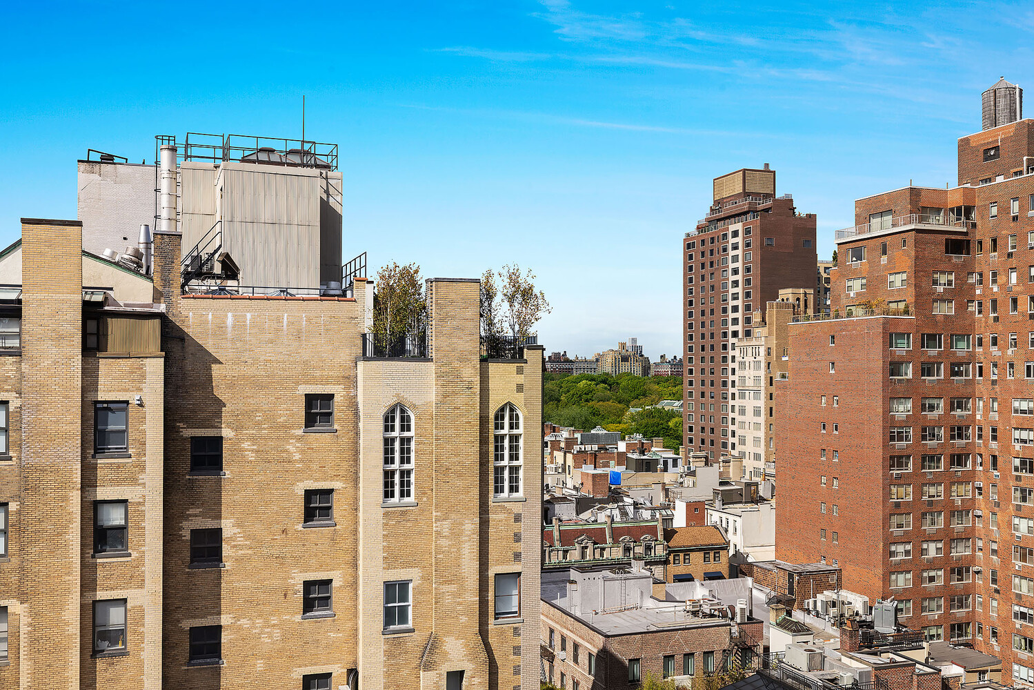 #17 photo, 876 PARK Avenue, Lenox Hill , NY 10075