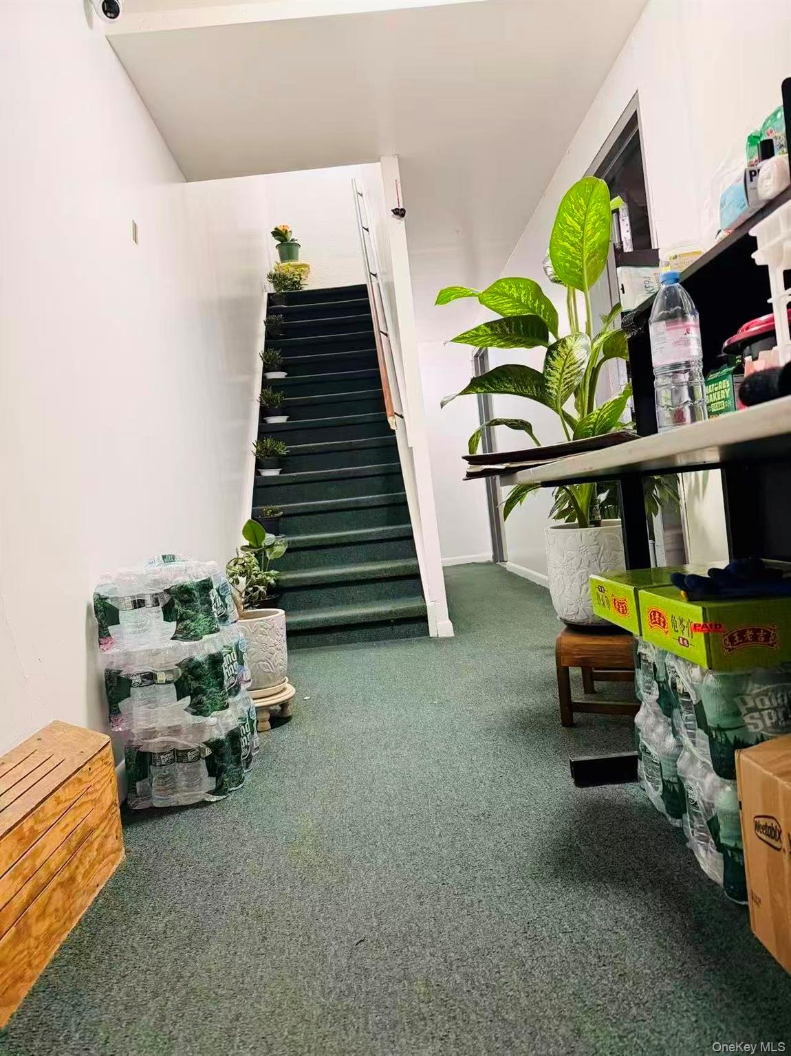 #5 photo, 53-37 97 Street, Corona , NY 11368