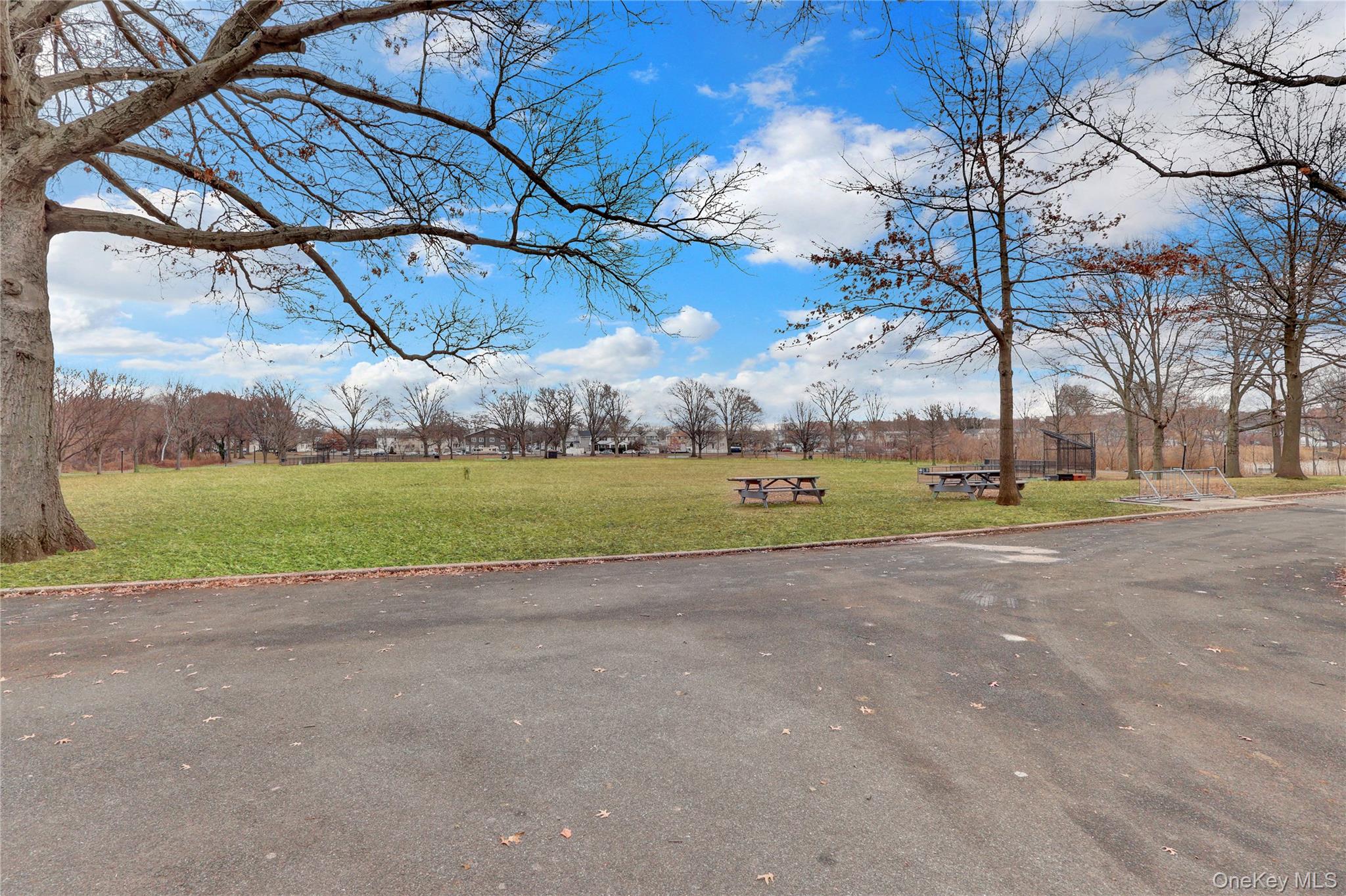 #20 photo, 15307 118th Avenue, Jamaica , NY 11434