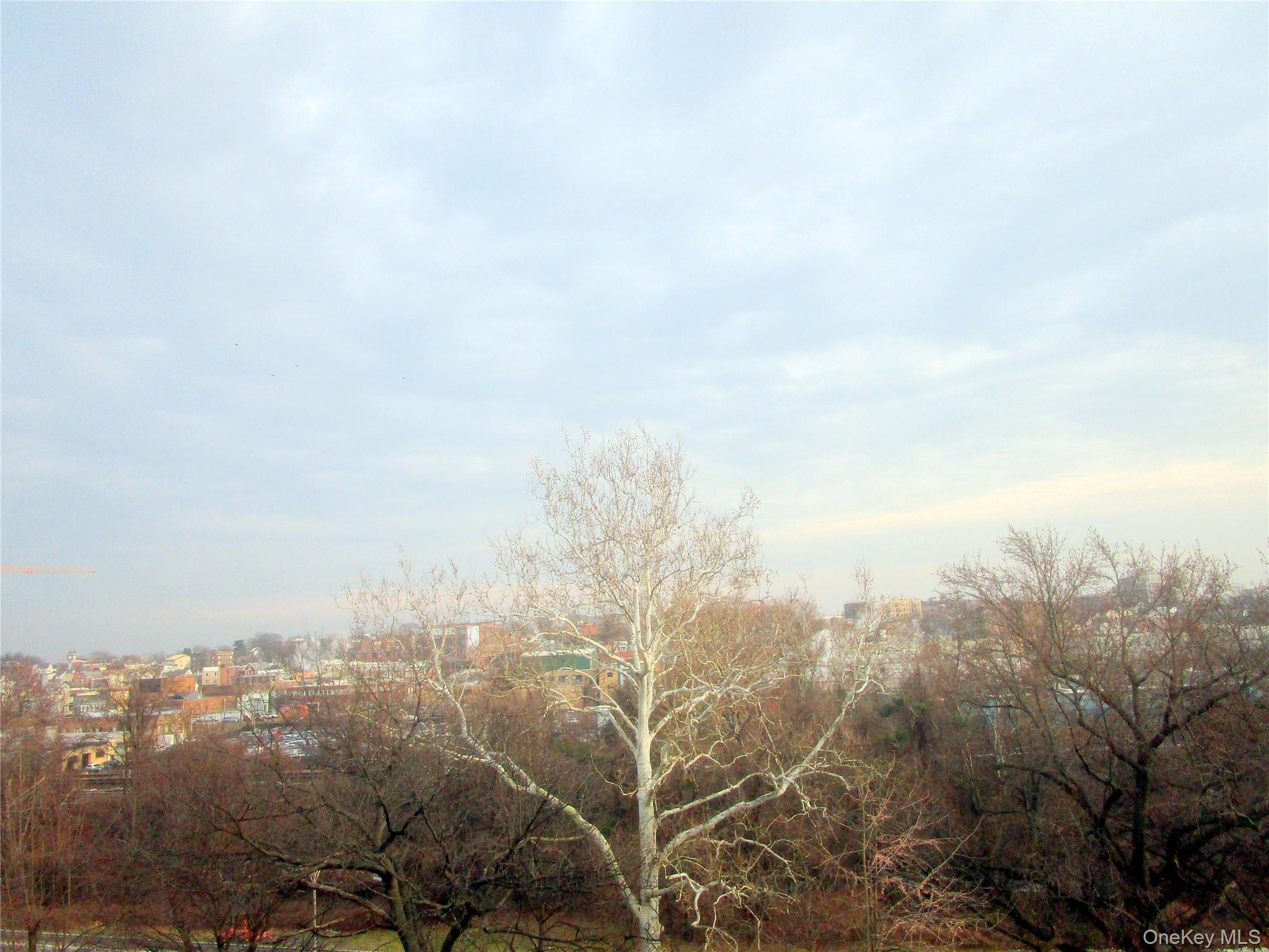 #20 photo, 255 Bronx River Road, Yonkers , NY 10704