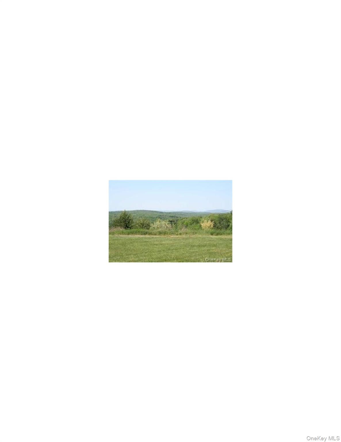 #3 photo, MEADOWLARK Road, Fallsburg , NY 12733