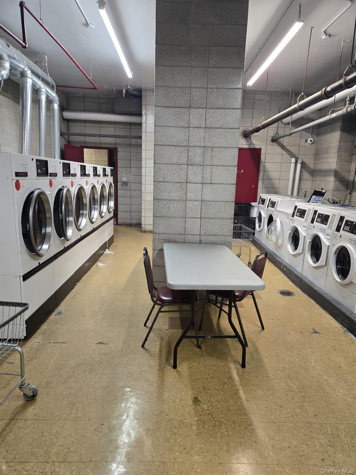 #7 photo, 2550 Olinville Avenue, Bronx , NY 10467