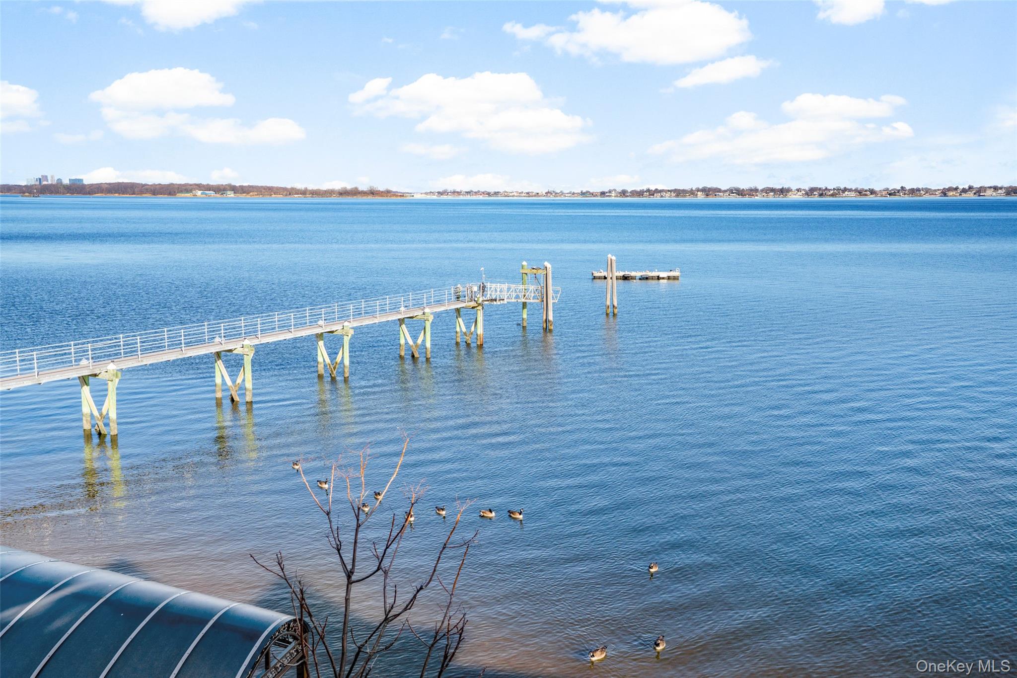 #4 photo, 822 Dean Avenue, Bronx , NY 10465