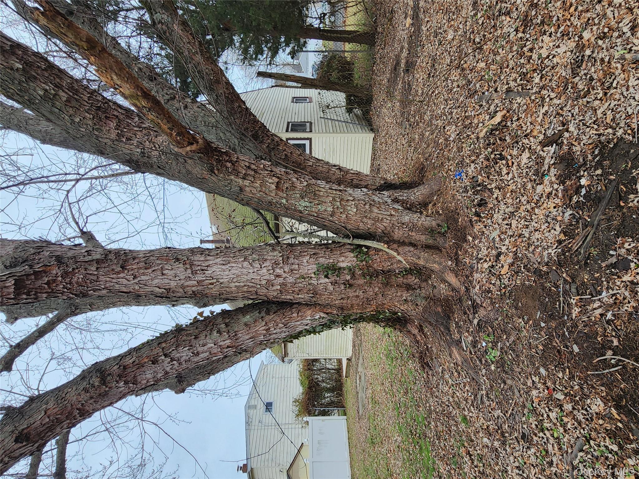 #8 photo, 33 Parkway Boulevard, Саффолк ‖ Wyandanch , NY 11798