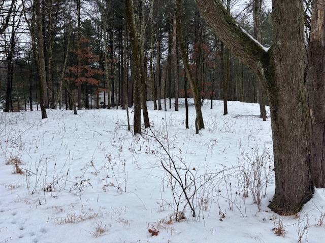 #5 photo, 25 Five Roses E, Ancram , NY 12502