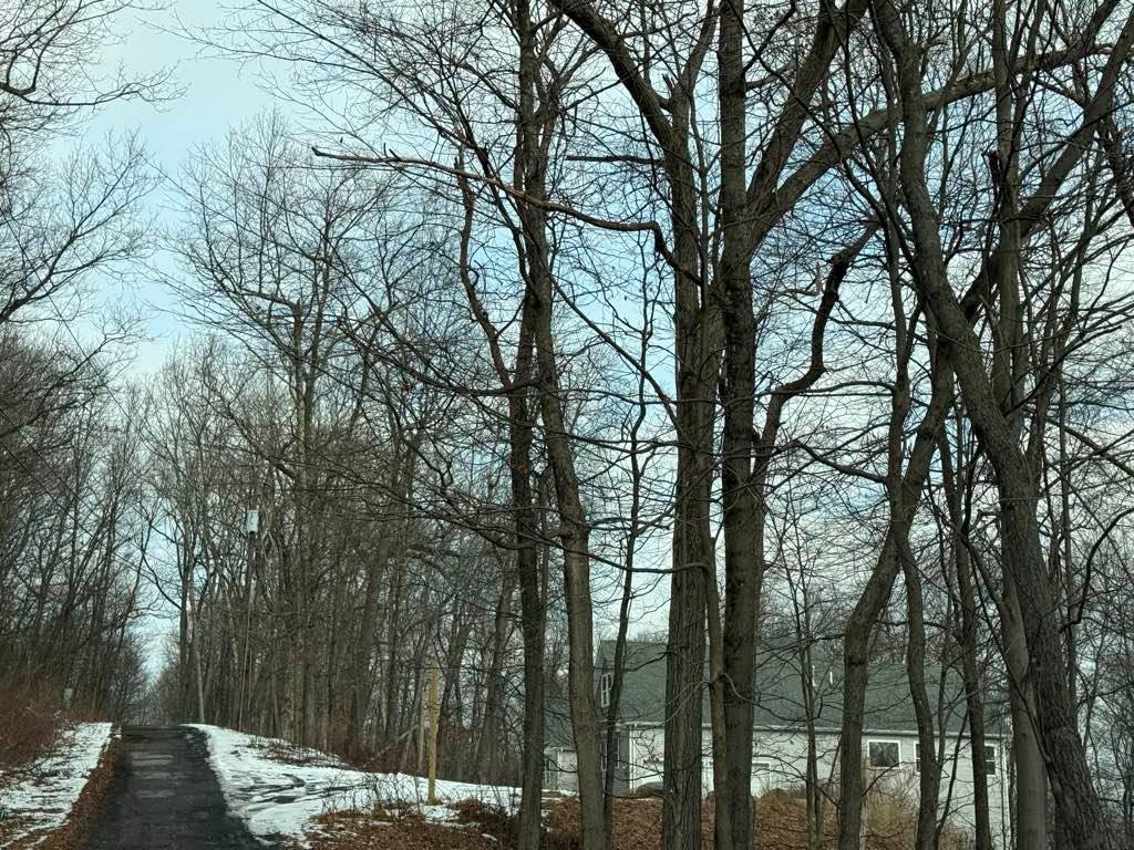 #3 photo, 6 Alley Road, Monroe , NY 10950