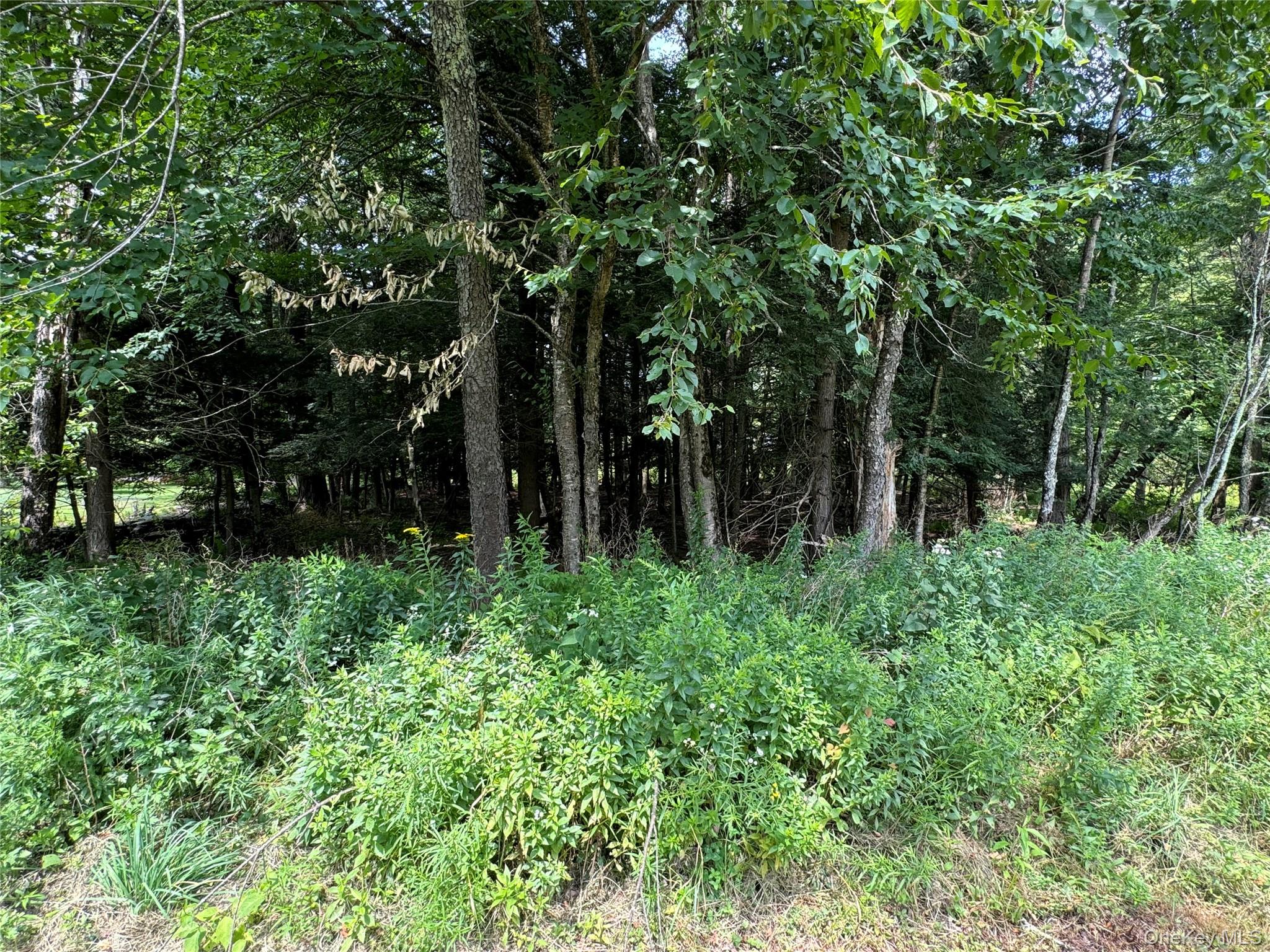 #9 photo, 204 Mongaup Road, Hurleyville , NY 12747