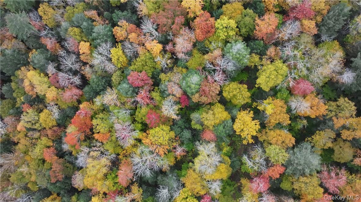 #11 photo, Huntley Hollow Road, Colchester , NY 13752