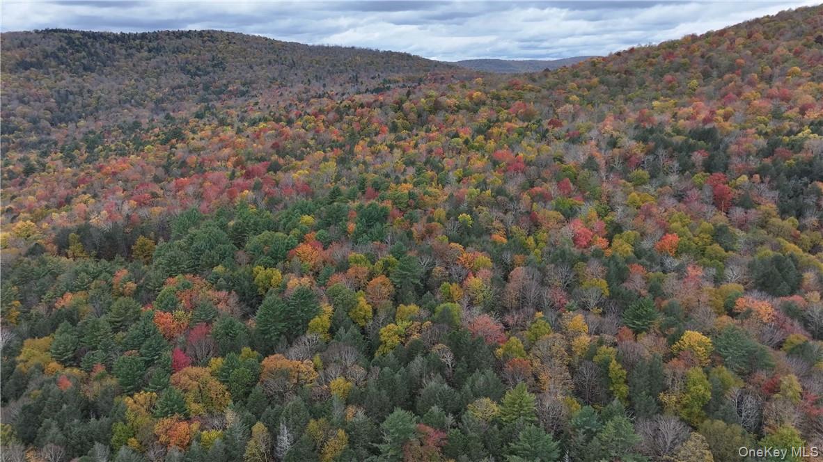 #14 photo, Huntley Hollow Road, Colchester , NY 13752