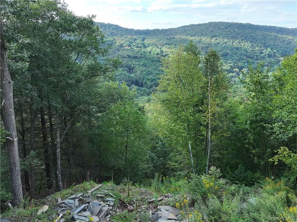 #18 photo, Huntley Hollow Road, Colchester , NY 13752