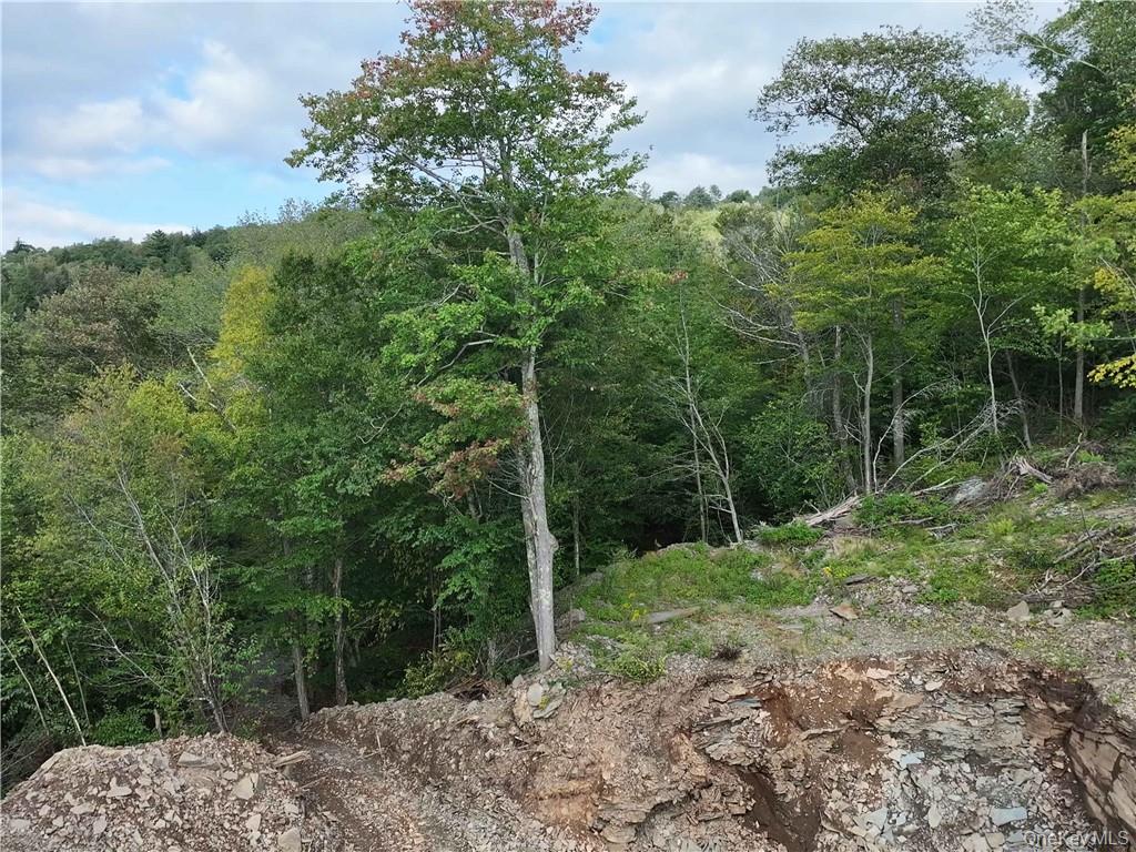 #20 photo, Huntley Hollow Road, Colchester , NY 13752