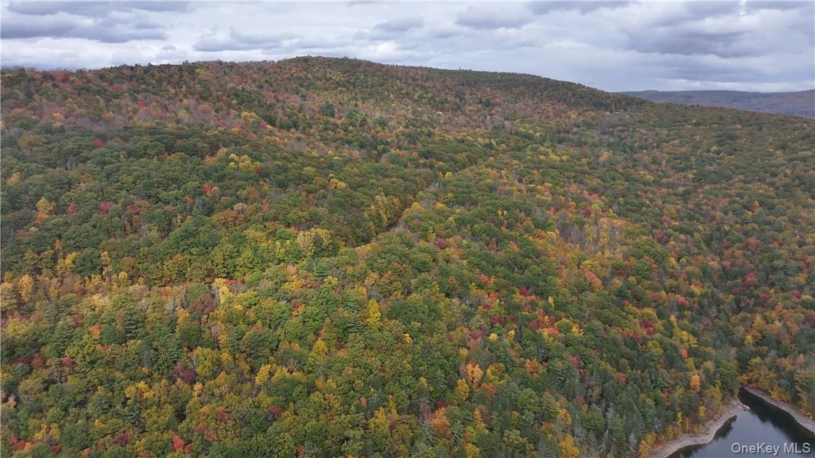 #3 photo, Huntley Hollow Road, Colchester , NY 13752